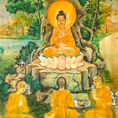  What is Wisdom and Consciousness?
